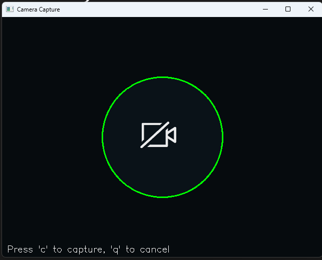 Camera capture interface with circular portrait guide